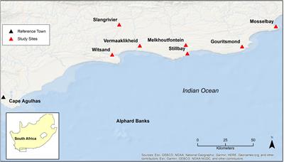 Using Structured Decision-Making Tools With Marginalised Fishers to Promote System-Based Fisheries Management Approaches in South Africa